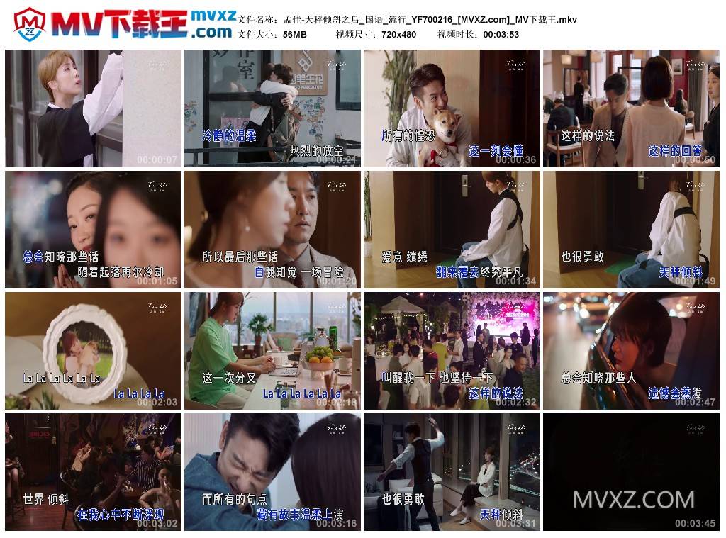 孟佳-天秤倾斜之后_国语_流行_YF700216